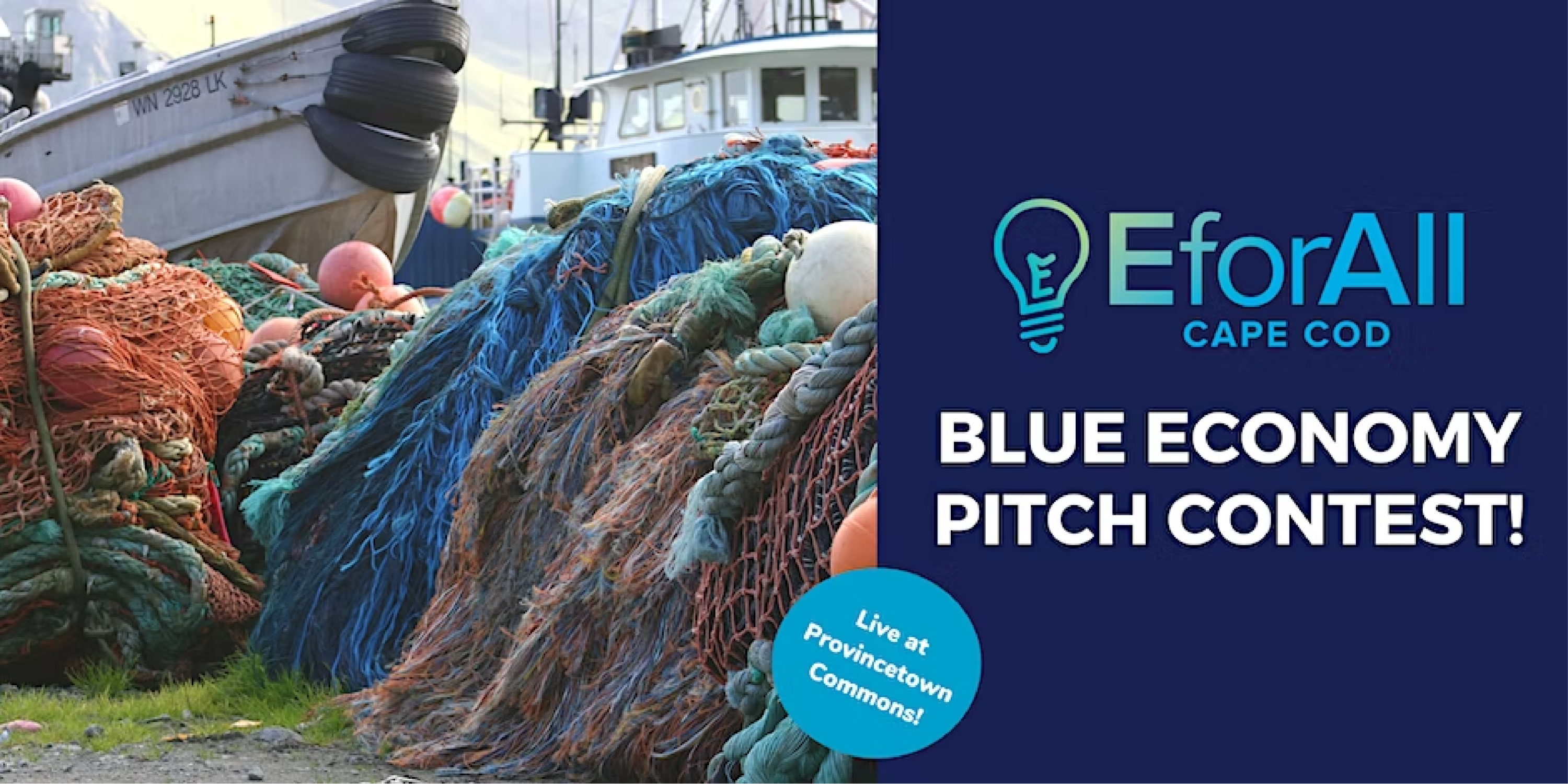 EforAll Blue Pitch 